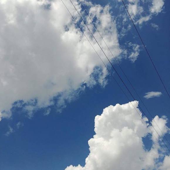 Meet your Posher, Juniper - Picture 1 of 1